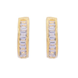 22k Gold Plated Nyra Vedhika Earring