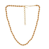 Varnesha Necklace Set