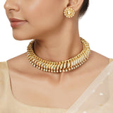 Devanshi Necklace Set