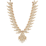 Anvikaa Necklace Set