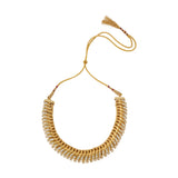 Devanshi Necklace Set