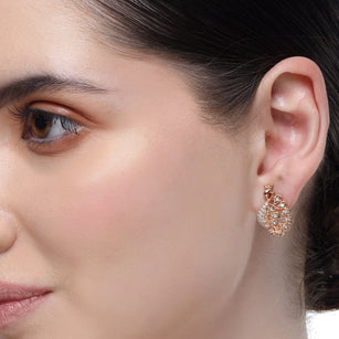 Forever Zircon Peacock Rose Plated Earrings1