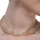 Grishma Gold Plated Zircon Necklace Set