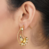 Gold Plated Panaash Ambi C-Hoop Earrings