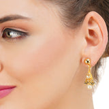 Grishma Gold Plated Kundan Choker Set