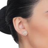 Dainty Rose Plated  Zircon Stellar Earrings