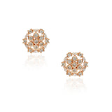 Dainty Rose Plated  Zircon Stellar Earrings