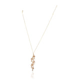 Basant Gold Plated Zircon Drop Necklace Set