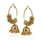 Gold Plated Bala Jhumki Hoop Earrings